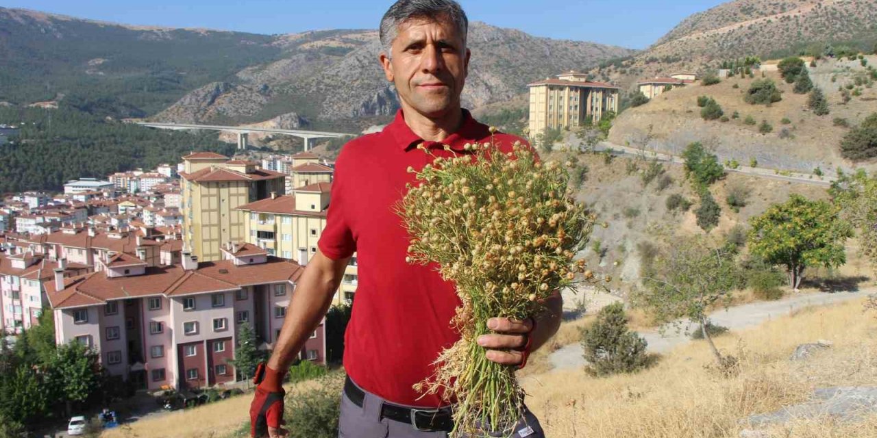 Dağ yamaçlarından topluyor, buketini 100 TL’den satıyor