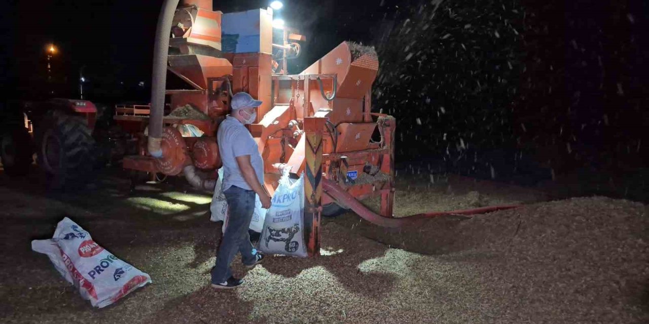 Tarlada fındık nöbeti