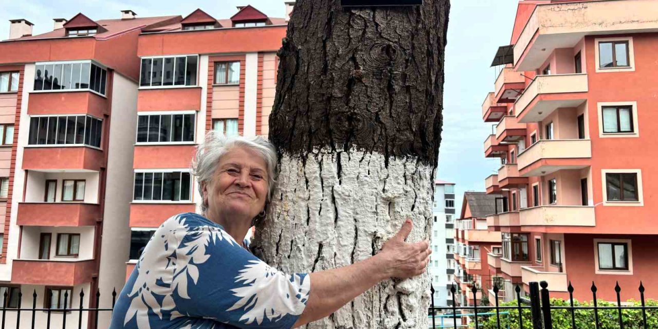 Hatıra Ormanı Değil Site Bahçesi