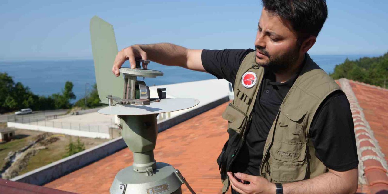 Kastamonu’da, Rusya’dan gelen polen tespit edildi: Polen alerjisi olanları ağustos ve eylül aylarında etkiliyor