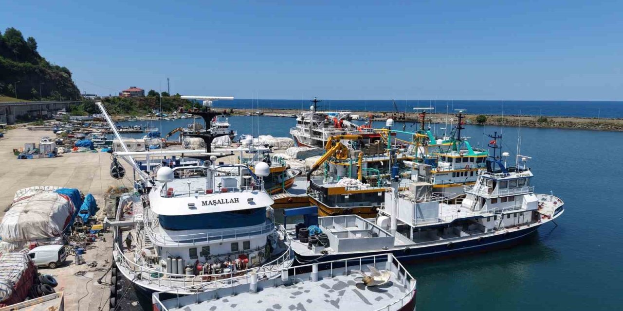 Karadeniz’de balıkçılar yeni av sezonundan umutlu: Palamut görüldü, hamsi bekleniyor