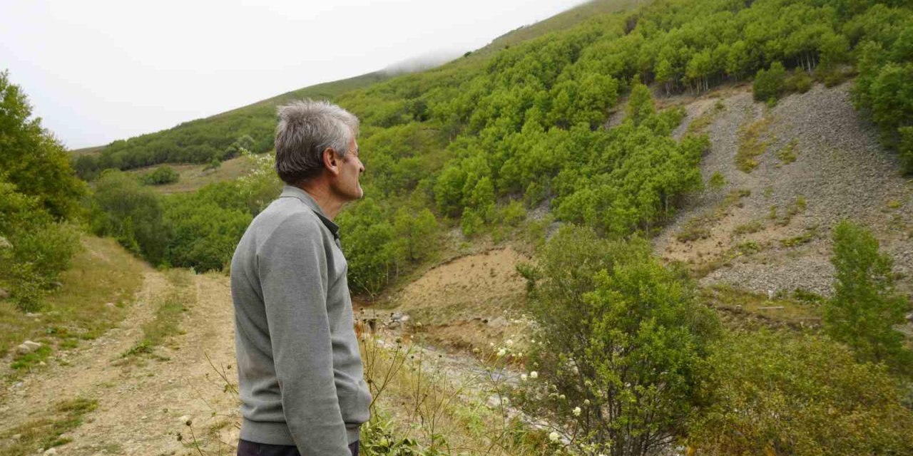 Gümüşhane’de emekli imam kendi imkânlarıyla köyüne 50 bin ağaç dikti