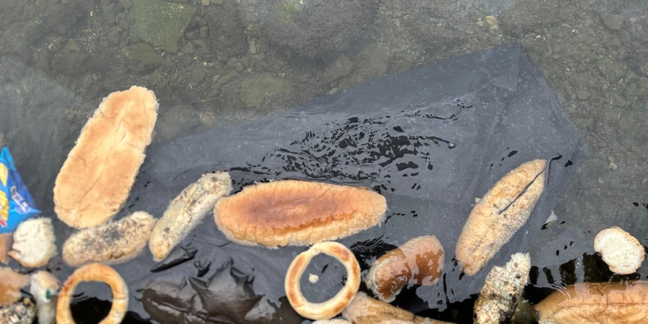 Yüzlerce ekmek, simit ve mısır ekmeğini denize döktüler