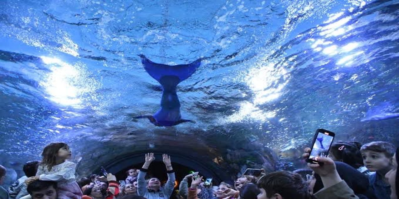 Trabzon Akvaryum’da, Denizkızı Gösterisi Yapılacak