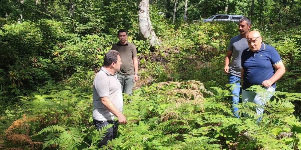 Düzce’de gençlik bakım sahaları kontrol edildi