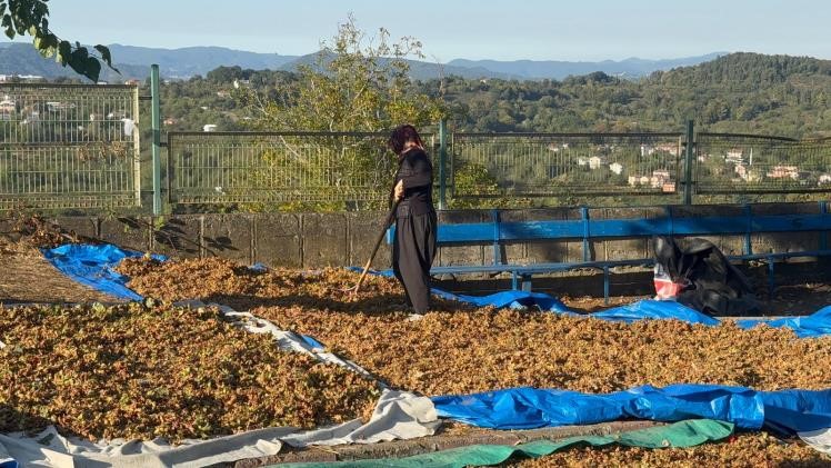 Türkoğlu, "Üreticinin emeğini yok saymayın"