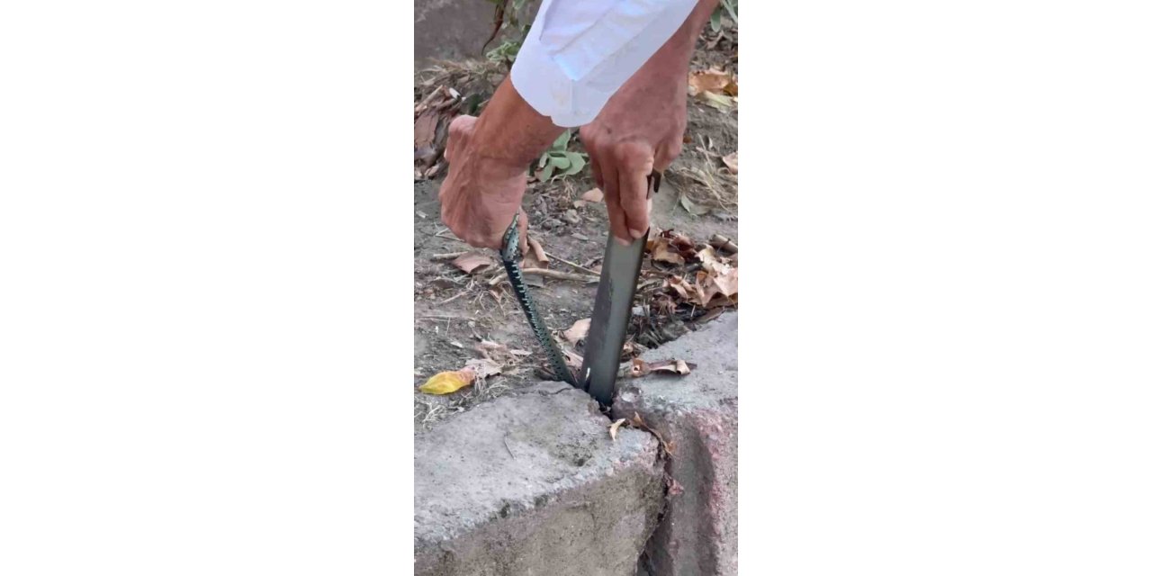 Vatandaştan yılan kurtarma operasyonu