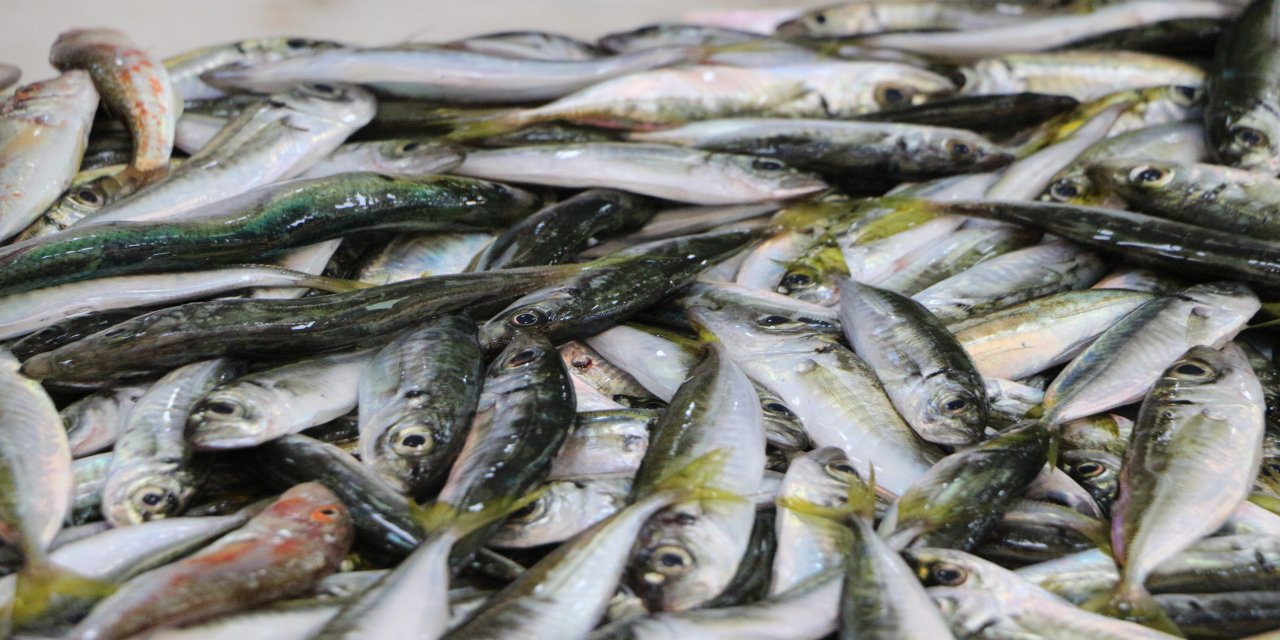 Rize'de balık yok ama umut var