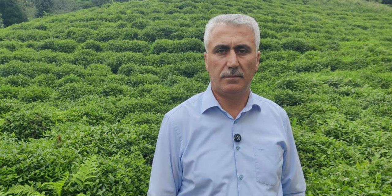 ÇAYÜDAD Başkanı Mustafa Mavi: "Bazı özel fabrikaların 3. sürgünde çay almayacağı söyleniyor"