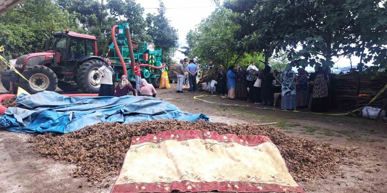 Ordu’da silahlı saldırı: 2 ölü