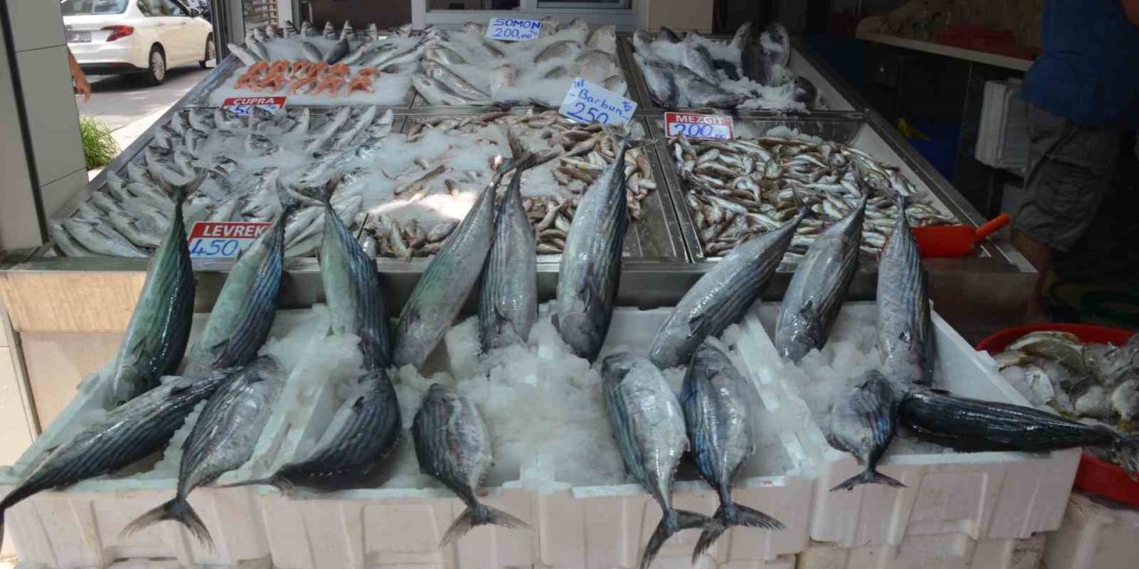 Sinop’ta torik bolluğu: Tanesi 800 TL