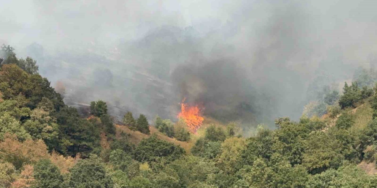 Düzce’de yangının çıkış nedeni araştırılıyor