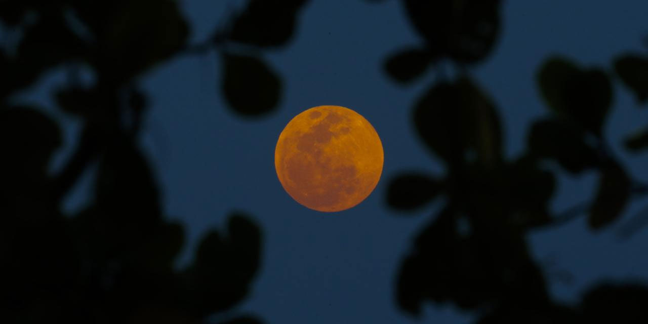 Dünya bu ay 82 dakikalık Kanlı Ay tutulmasına tanık olacak