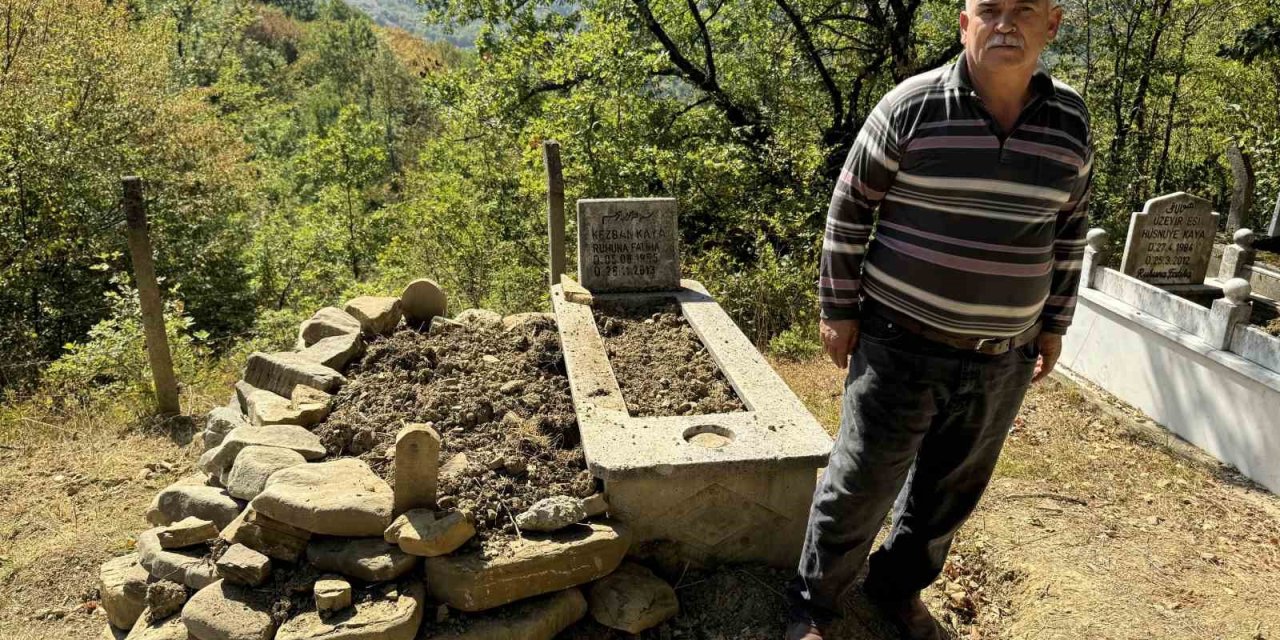 Mezarı kazıp tahtaları kıran ayı cenazeye ulaşamadan kaçtı