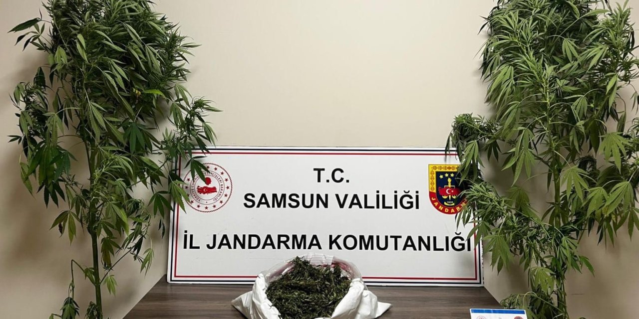 Jandarma 3 kilo 237 gram esrar ele geçirdi