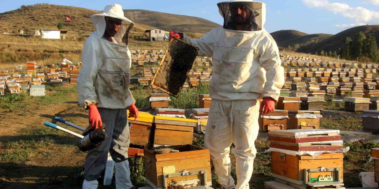 Bayburt’ta Arıcıların Bal Hasadı Sürüyor
