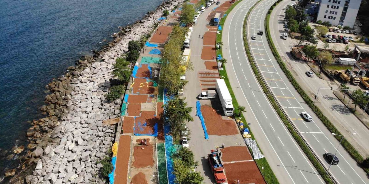 Giresun’da fındık hasadının ardından üreticilerin kurutma mesaisi sürüyor