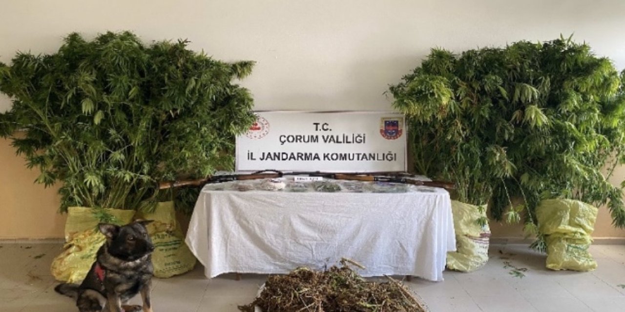 Çorum’da jandarmadan uyuşturucu tacirlerine operasyon: 2 tutuklama