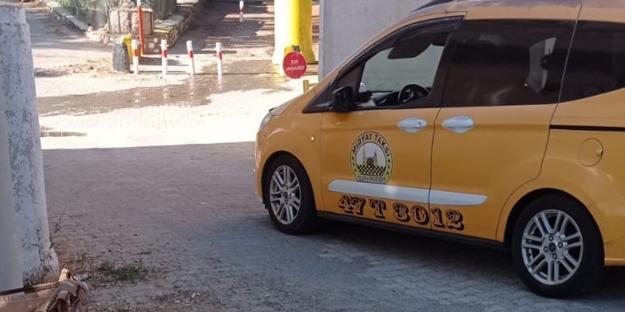 Taksinin Çarptığı Eşek, Yaralandı