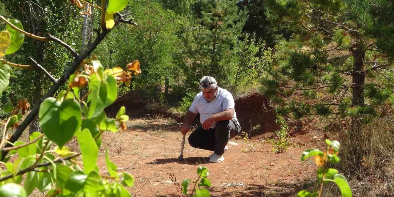 Bayburt’ta kehribarın zorlu mesaisi: Topraktan çıkarılan fosilleşmiş ağaç reçinesi takı ve tespihe dönüştürülüyor