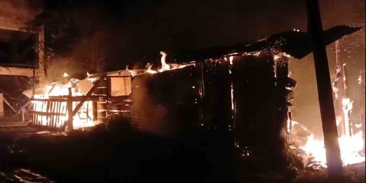 Giresun’da yangında 1 ton fındık kül oldu