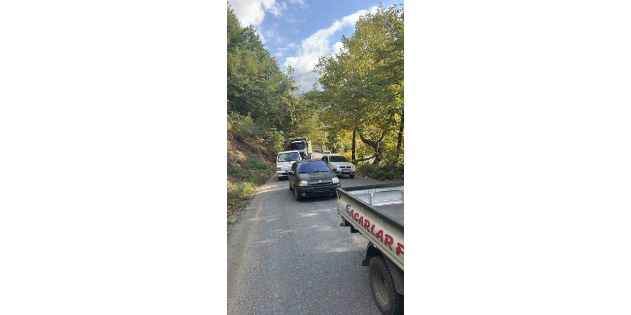 Alaplı’da yola devrilen ağaç, vatandaşlar  tarafından kaldırıldı