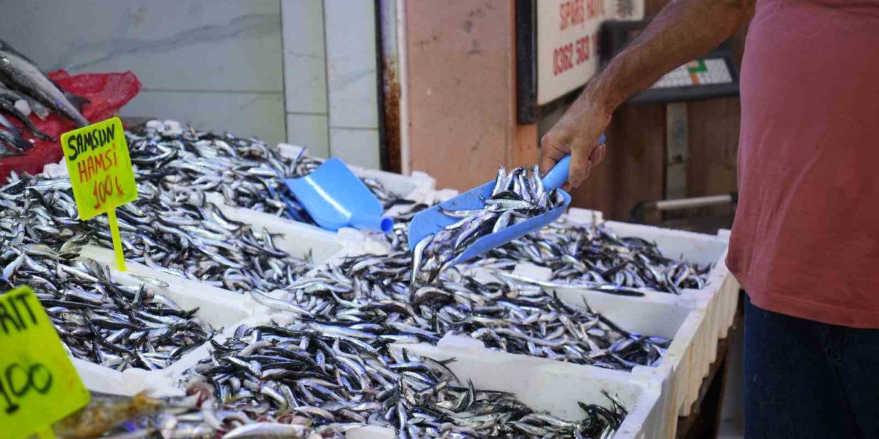 Karadeniz’in incisi hamsi tezgahlarda: Ne alırsan 100 TL
