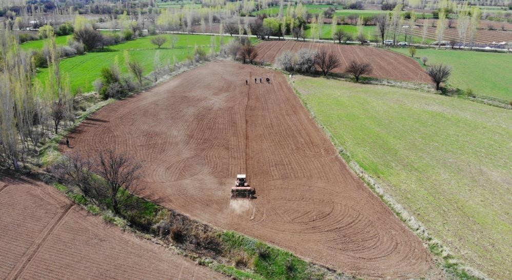 Tarım-ÜFE yıllık yüzde 41,55 arttı