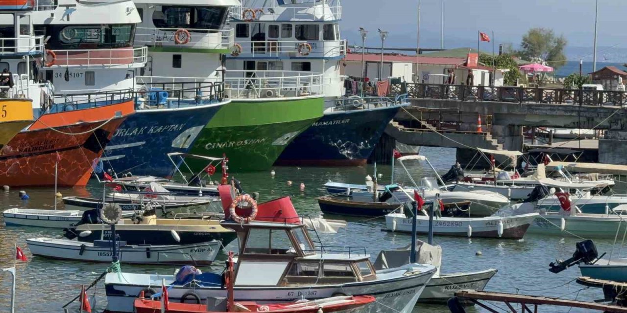 Akçakocalı balıkçılar yeni sezonda umduğunu henüz bulamadı