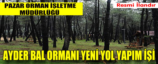 Ayder Bal Ormanı Yolu Yeni Yol Yapım İşi