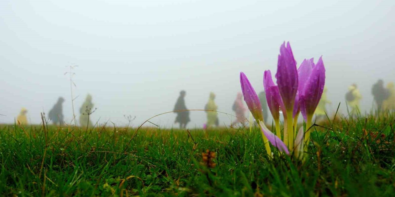 Gümüşhane’de 130 dağcı Çetlüce Yaylası’nda sis ve yağmur altında yürüdü