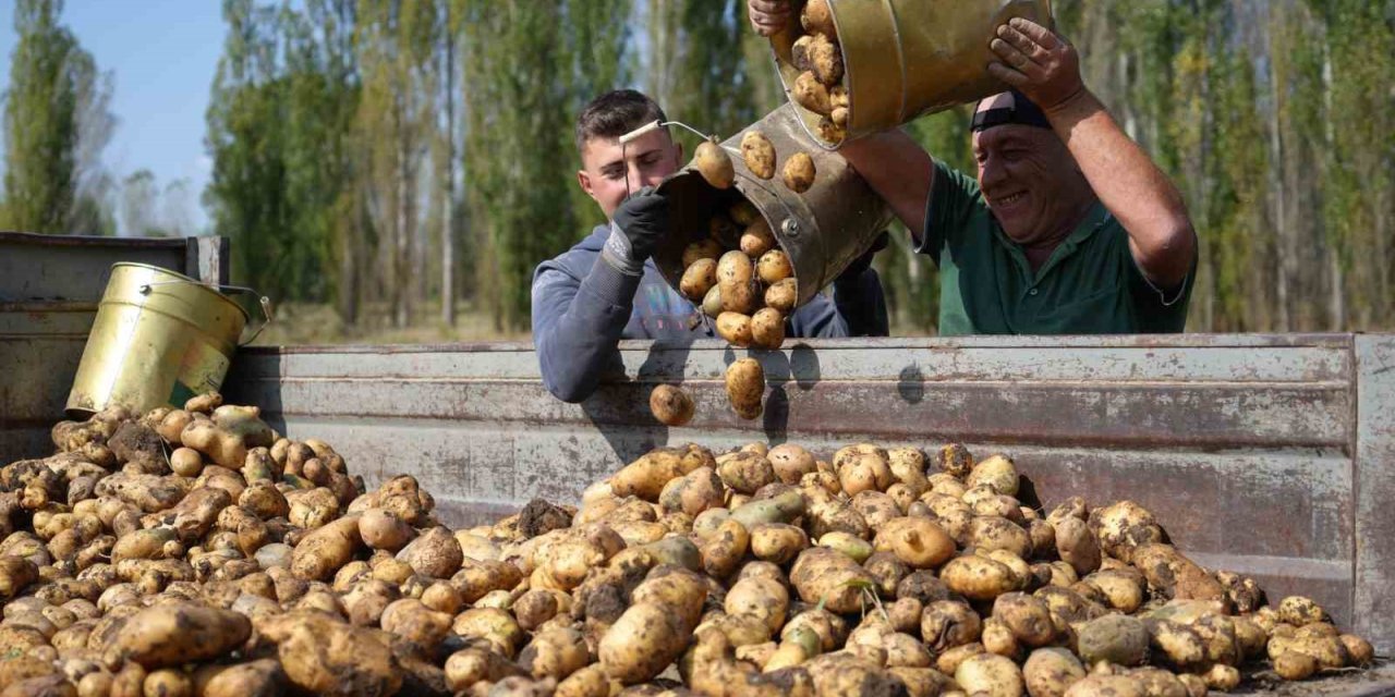 Tarım-GFE yıllık yüzde 34,22 arttı