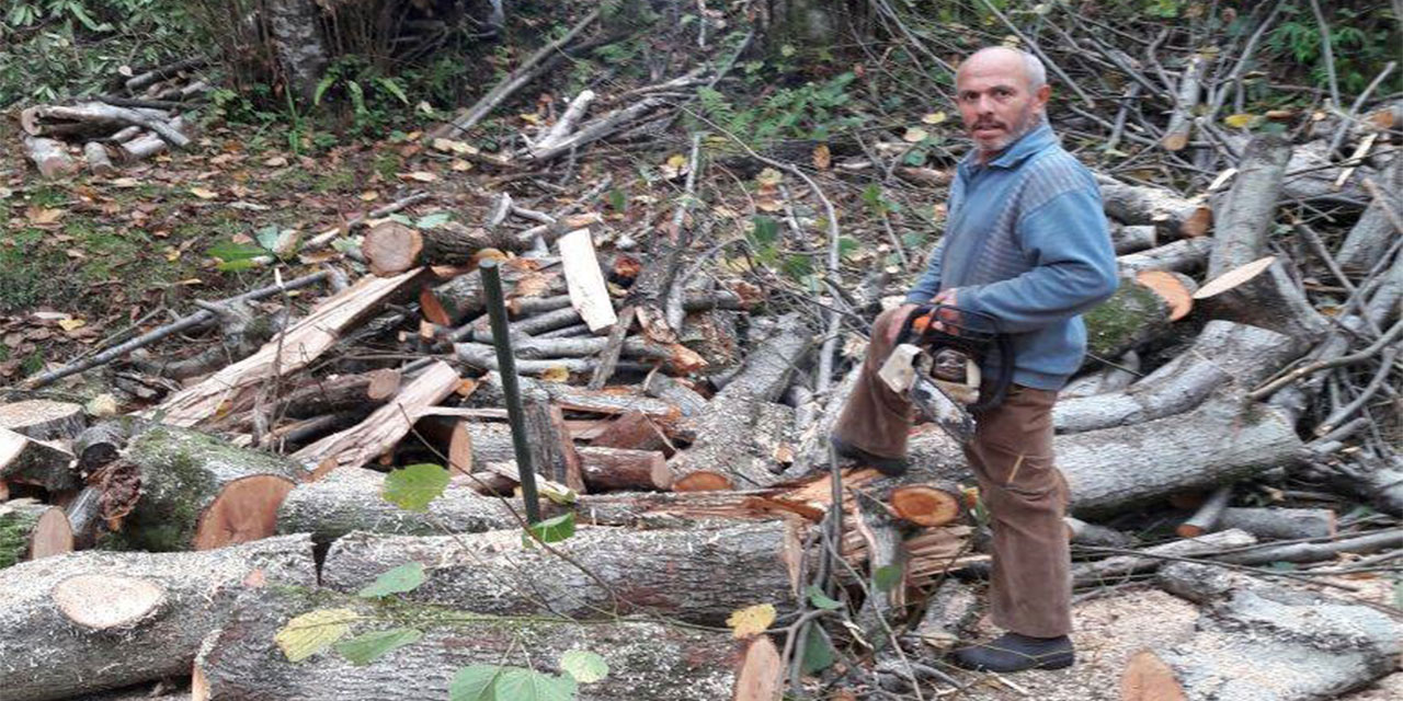 Rize'de Ağaç Kesimi Sırasında Feci Kaza: 61 Yaşındaki Adam Hayatını Kaybetti