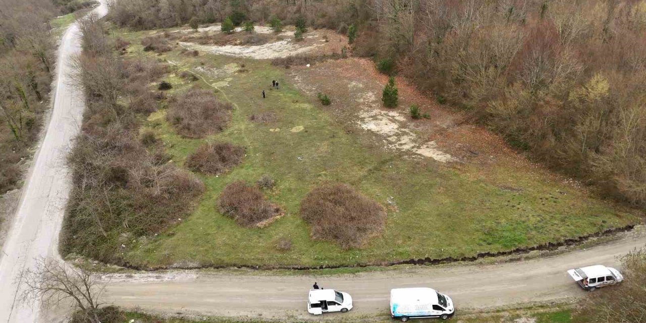Başkan Yardımcısı Yıldız: "Bu hayvanlar, can dostlarımız"