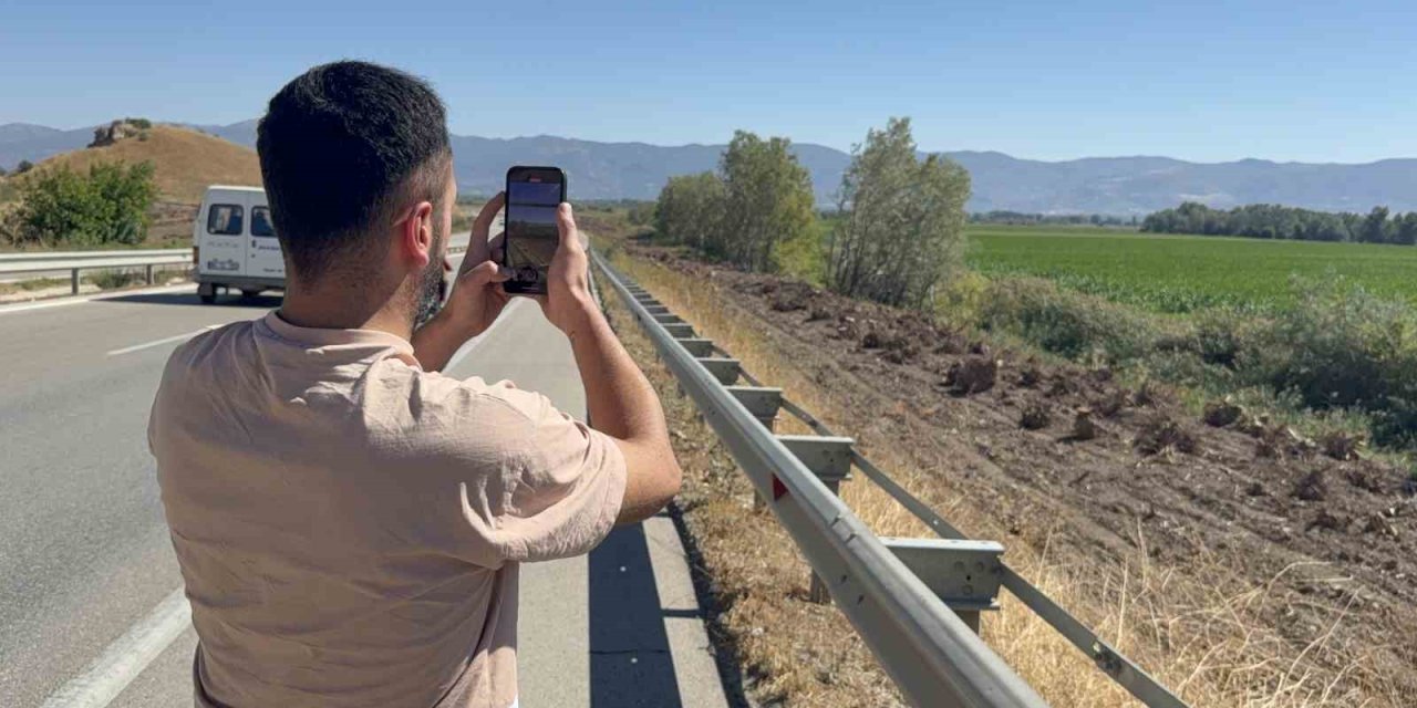İlçenin simgesi olmuştu, ağaç koridorundan geriye kökleri kaldı