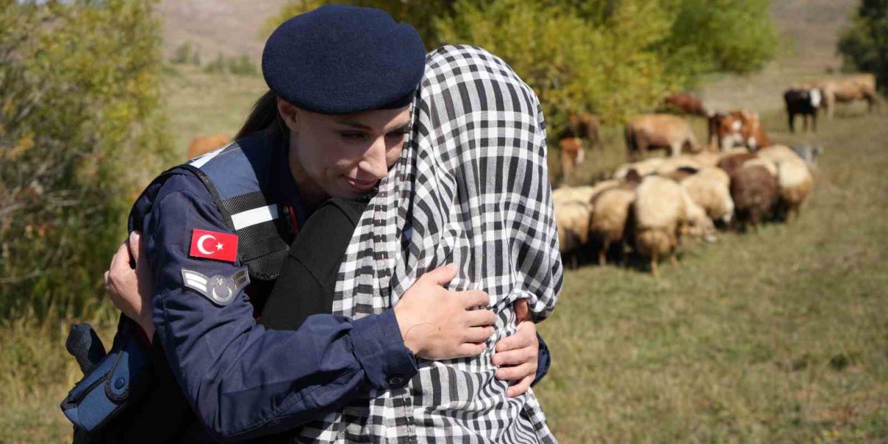 Bayburt’ta kaybolan 13 koyun jandarma ekiplerince dağda bulundu