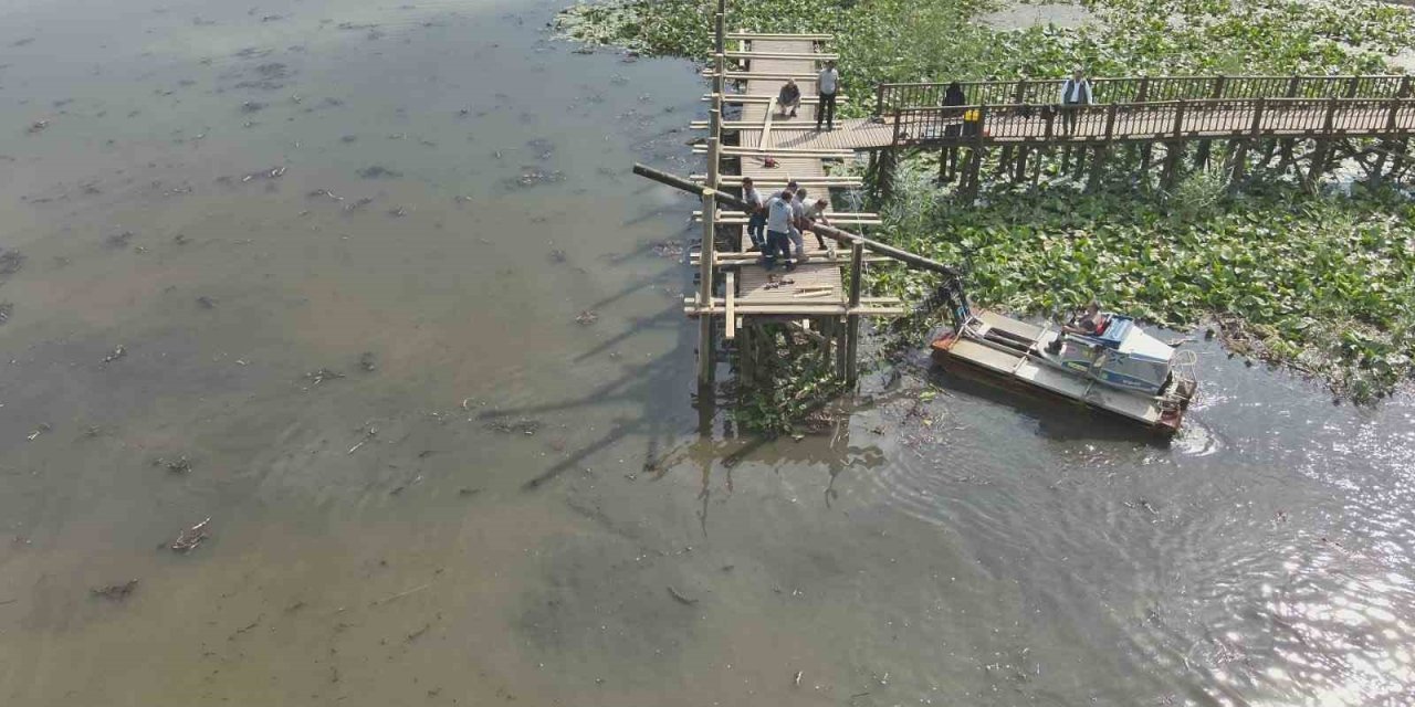 Efteni Gölü ahşap iskelesi yenileniyor