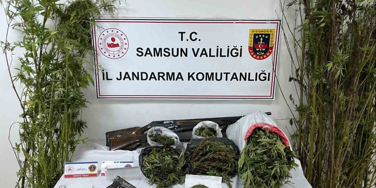 Jandarmadan uyuşturucu operasyonu: Esrar, kenevir ve silah ele geçirildi