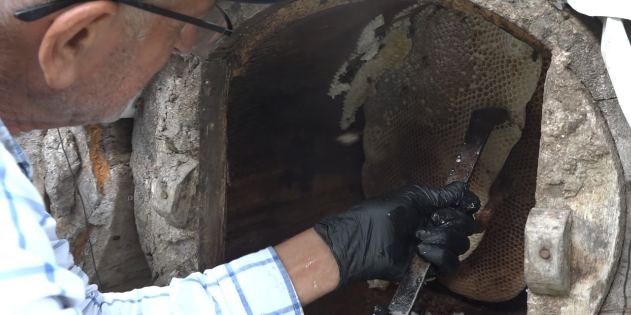 Rize’de karakovan balı Anzer Balı'nı solladı