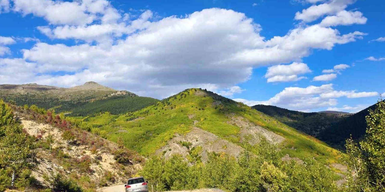 Gümüşhane’de sonbahar renkleri kendini göstermeye başladı
