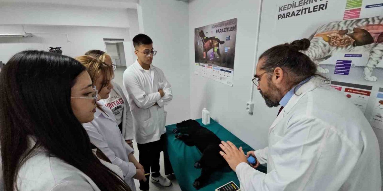 Türkiye’de bir ilk: Meslek yüksekokulunda veteriner sağlık eğitimi simülatörlerle veriliyor