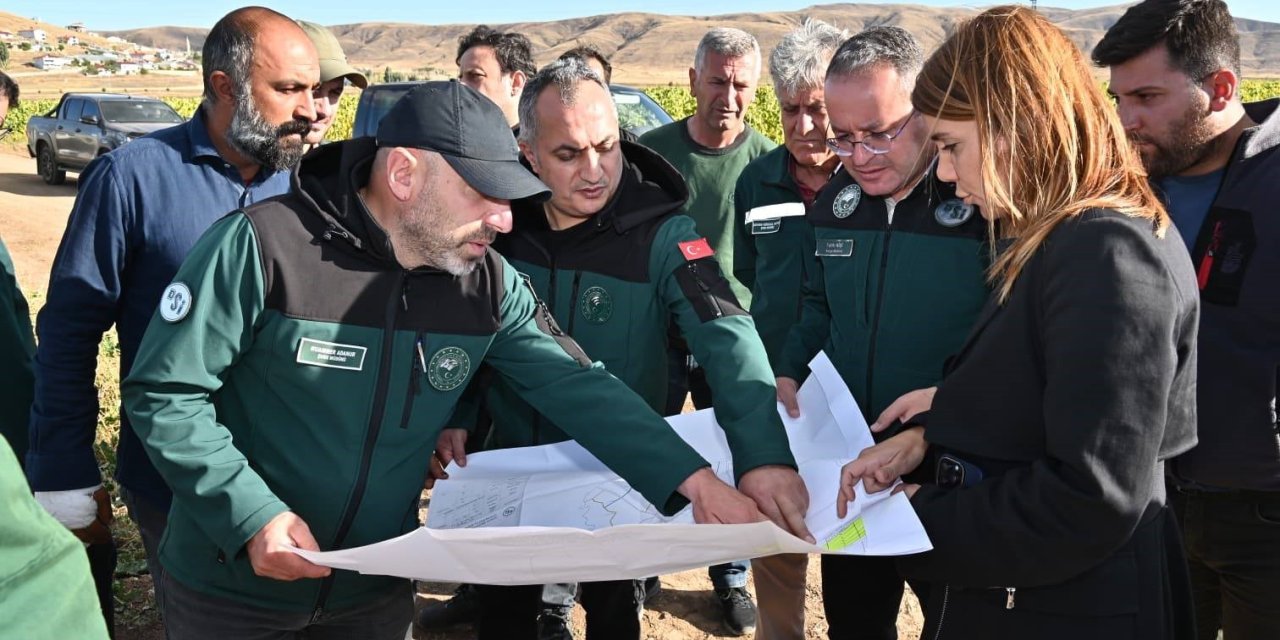 Demirözü’nde arazi toplulaştırma çalışmaları devam ediyor