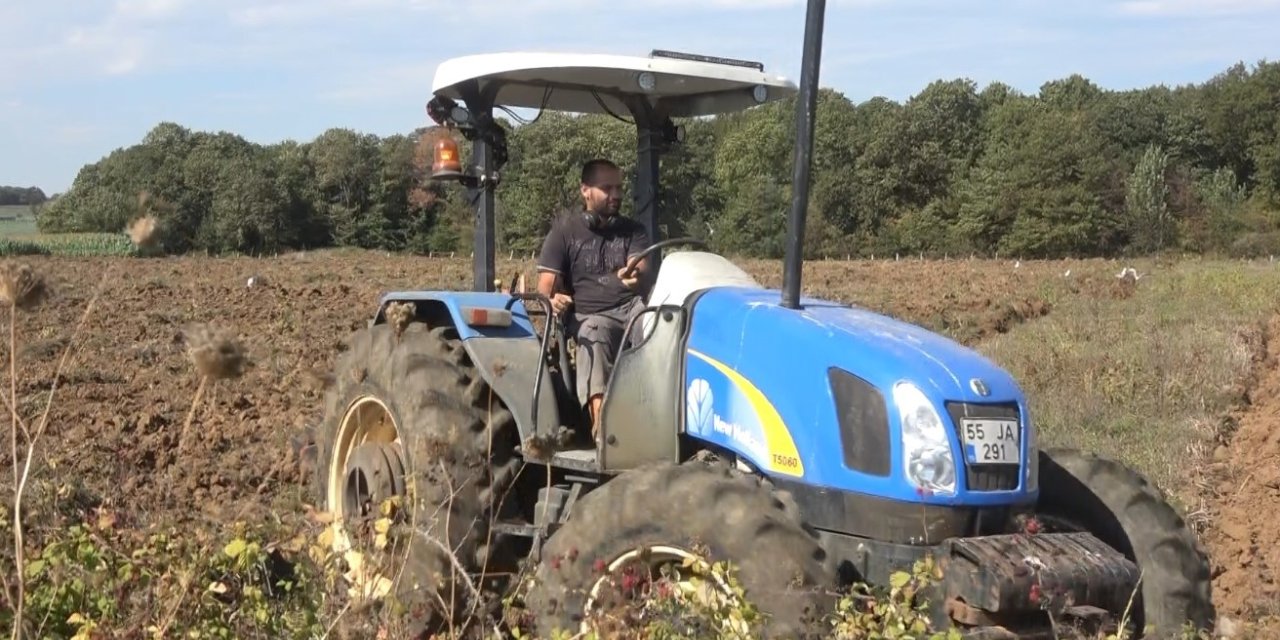 Bafra Ovası’nda 100 bin dekarlık alanda kışlık sebze ekimi başladı