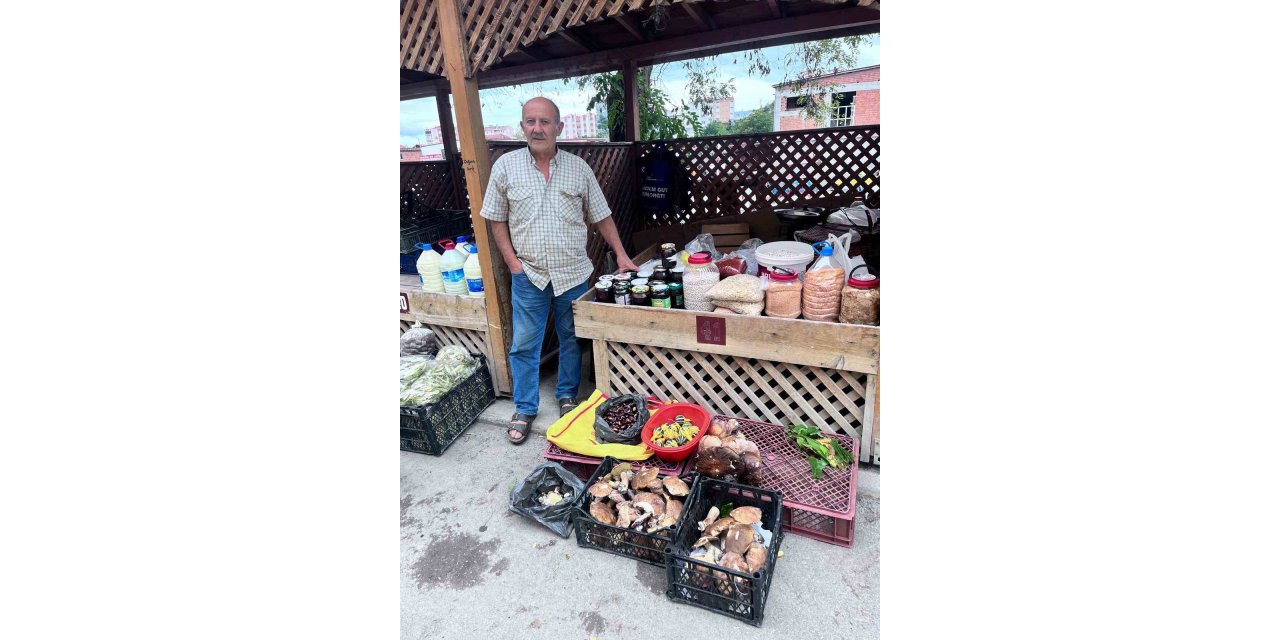 Türkeli’de kestane ve fesleğen mantarı tezgahlarda