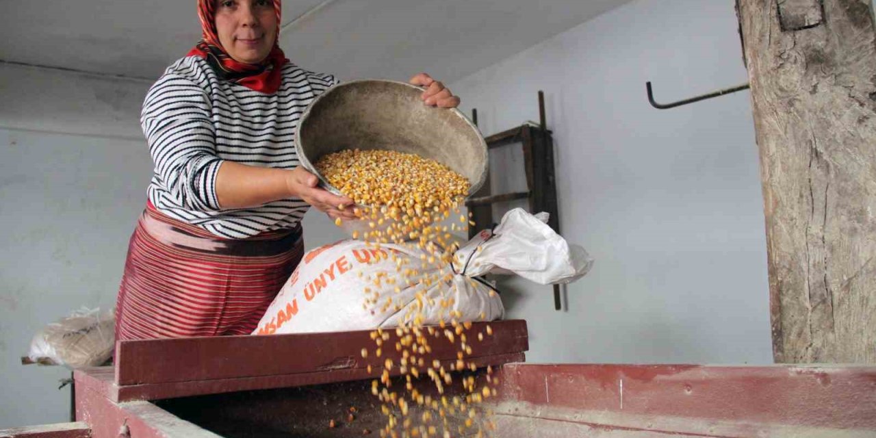 Zamana direnen çarklar