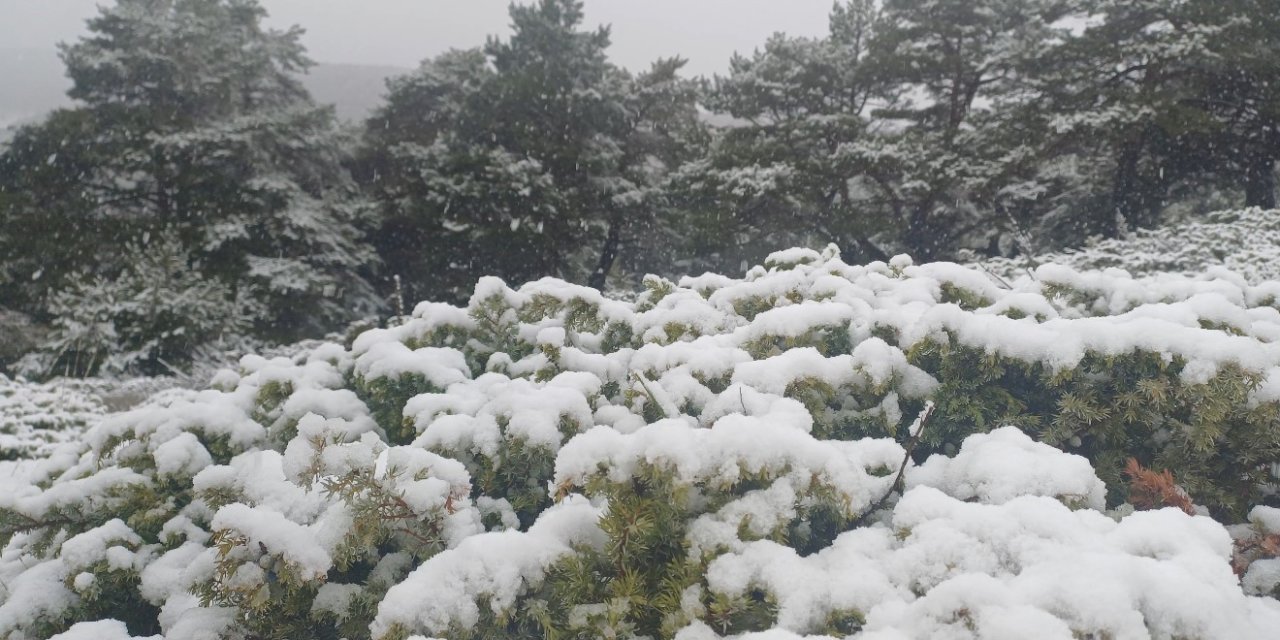 Tokat yükseklerinde kar, kent merkezinde yağmur etkili oldu