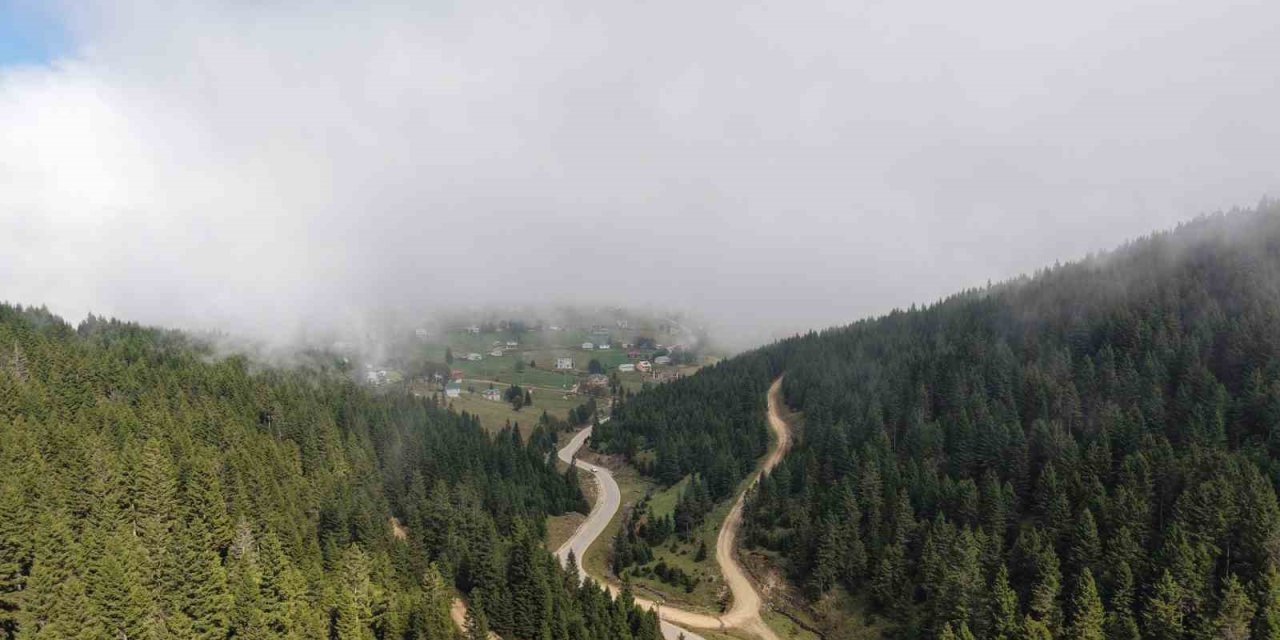 Doğu Karadeniz Bölgesinde heyelan alarmı