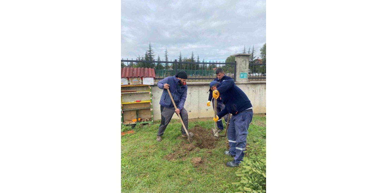 Orman yangınları sonrası yola çıktı, 71. fidanını Bolu’da dikti