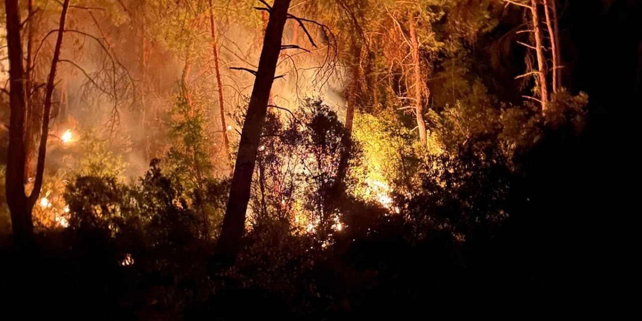 İmamoğlu'nda 3 Gün Arayla 2'nci Orman Yangını