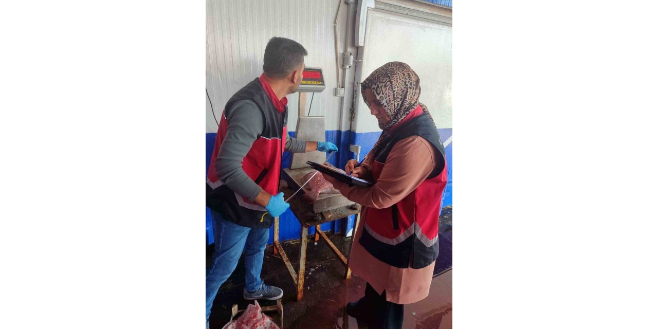 Zonguldak’ta su ürünleri denetimleri sürüyor